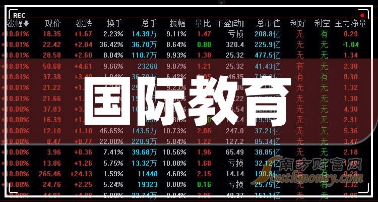 2024年12月17日 第20页