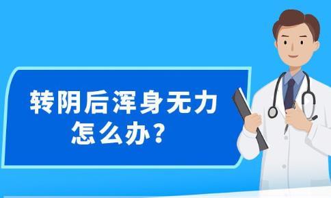 2024年12月19日 第37页