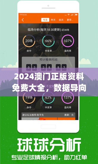 澳门王中王100%期期中,澳门王中王期期中与犯罪问题