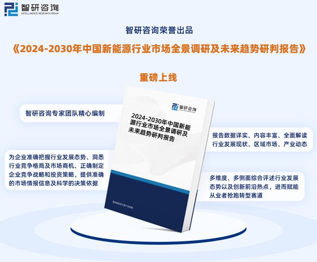 新奥精准资料免费提供510期,新奥精准资料免费提供510期，深度解析与前瞻性洞察