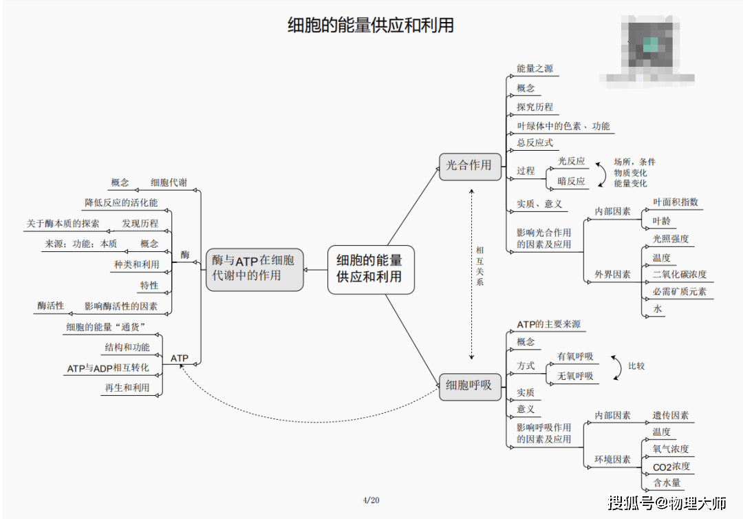 2024年12月19日 第3页