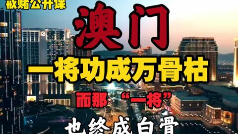 2024澳家婆一肖一特,揭秘2024澳家婆一肖一特——探寻神秘文化现象的背后