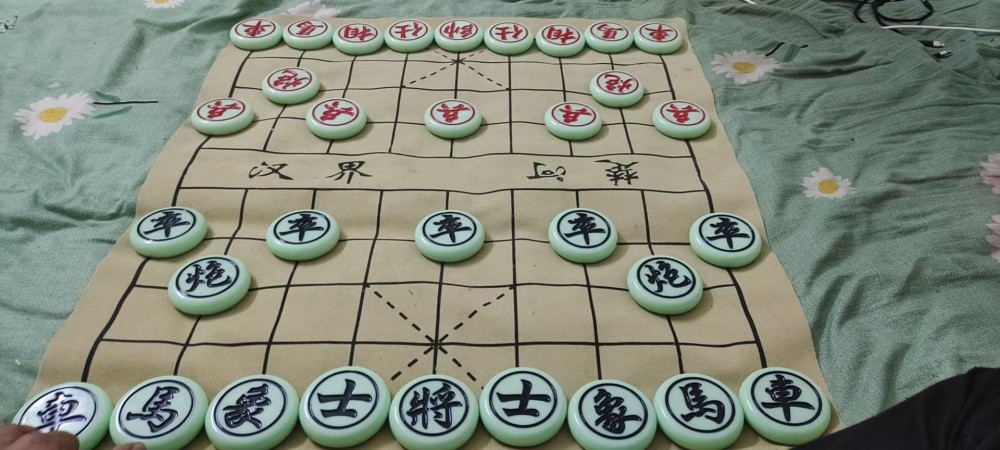 2024新澳兔费资料琴棋,探索新澳，免费资料琴棋的魅力与机遇