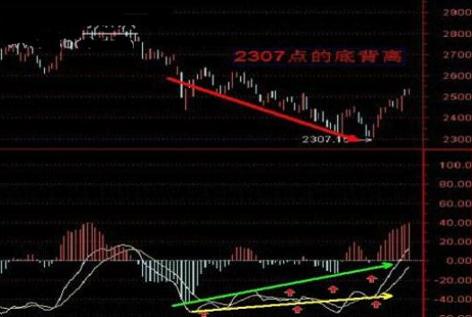 澳门100%最准的一肖,澳门100%最准的一肖——揭秘犯罪背后的真相