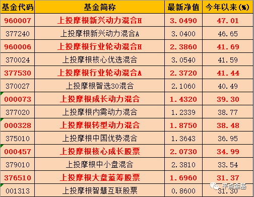 新奥门天天开奖资料大全,新奥门天天开奖资料大全——揭示违法犯罪背后的真相