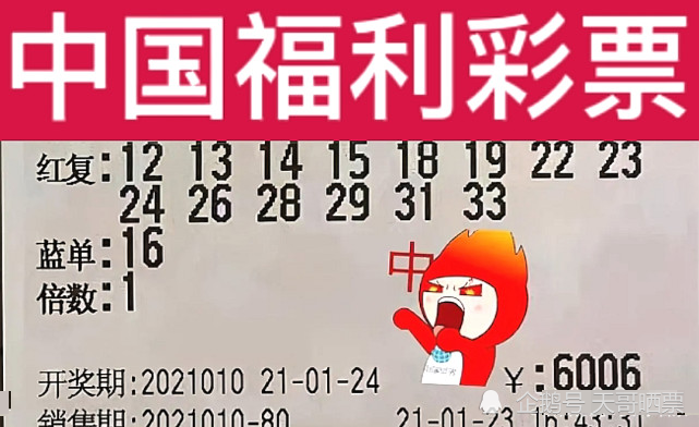 新澳2024今晚开奖结果,新澳2024今晚开奖结果，期待与惊喜交织的时刻