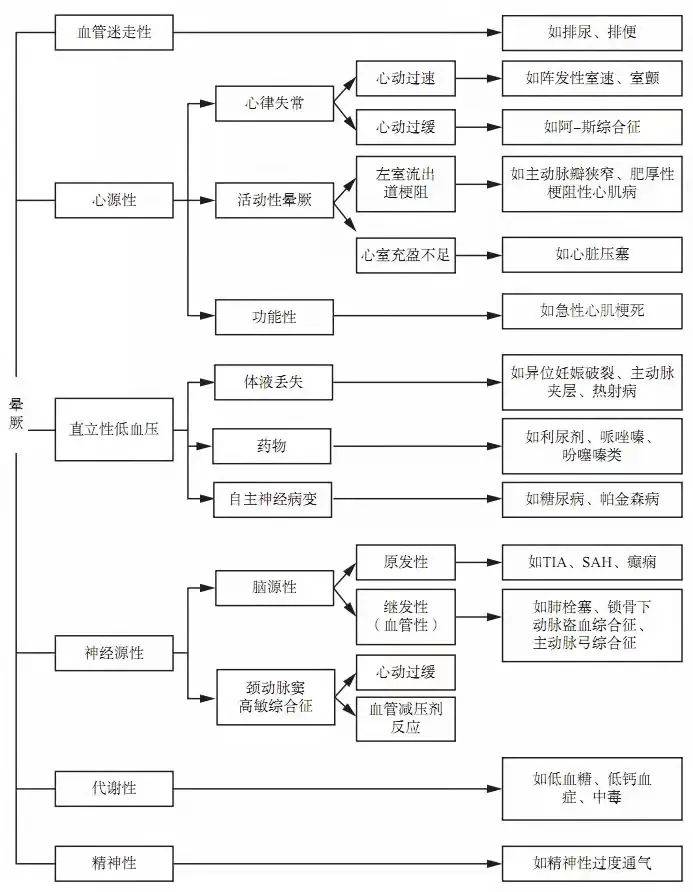 777778888王中王最新,探索数字背后的秘密，揭秘王中王与最新数字现象777778888