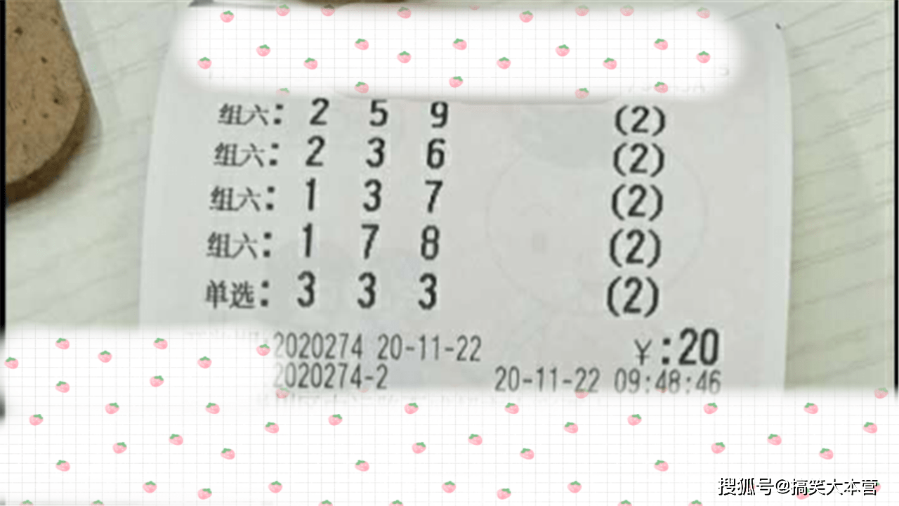 2024澳门六开奖结果出来,澳门彩票开奖结果，揭晓2024年六开奖盛况