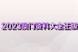 新澳资料大全正版2024综合,新澳资料大全正版2024综合，全面解析与前瞻