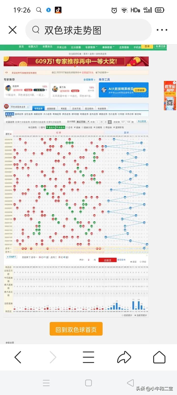 2025澳门特马今晚开什么,澳门特马今晚开什么，探索随机性与预测之间的边界